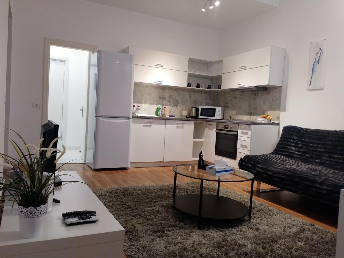 Black & White Apartament *